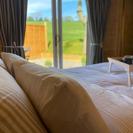 Апартаменты Hideaway At Hestercombe Kingston  Экстерьер фото